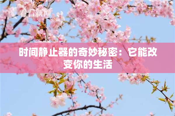 时间静止器的奇妙秘密：它能改变你的生活