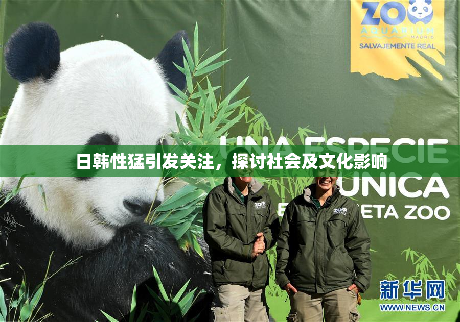 日韩性猛引发关注，探讨社会及文化影响