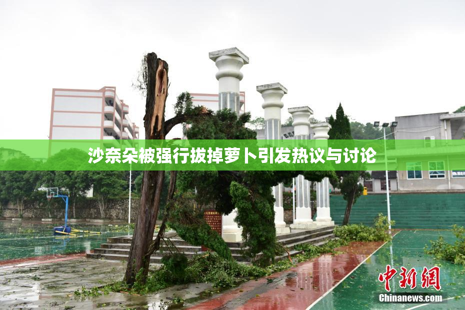 沙奈朵被强行拔掉萝卜引发热议与讨论