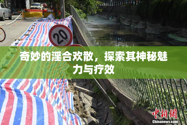 奇妙的淫合欢散，探索其神秘魅力与疗效