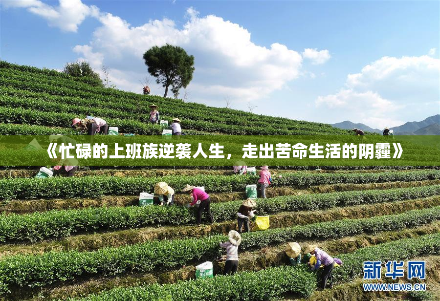 《忙碌的上班族逆袭人生，走出苦命生活的阴霾》