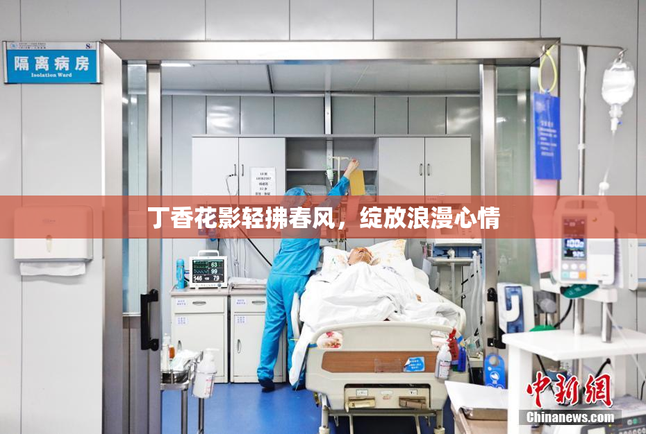 丁香花影轻拂春风，绽放浪漫心情