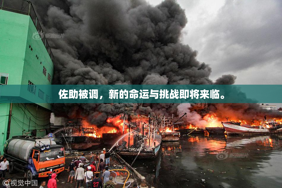 佐助被调，新的命运与挑战即将来临。