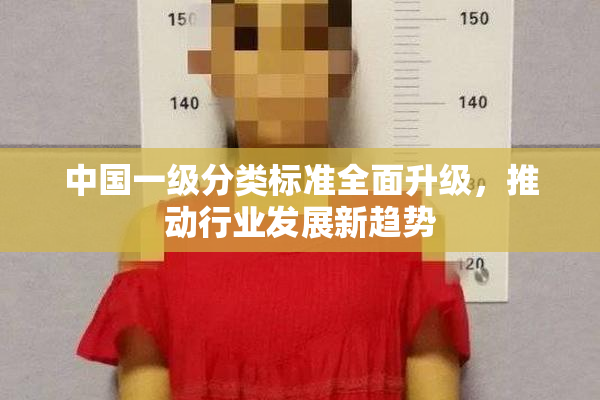 中国一级分类标准全面升级，推动行业发展新趋势