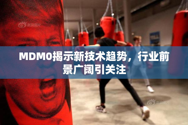 MDM0揭示新技术趋势，行业前景广阔引关注