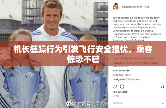 机长狂躁行为引发飞行安全担忧，乘客惊恐不已