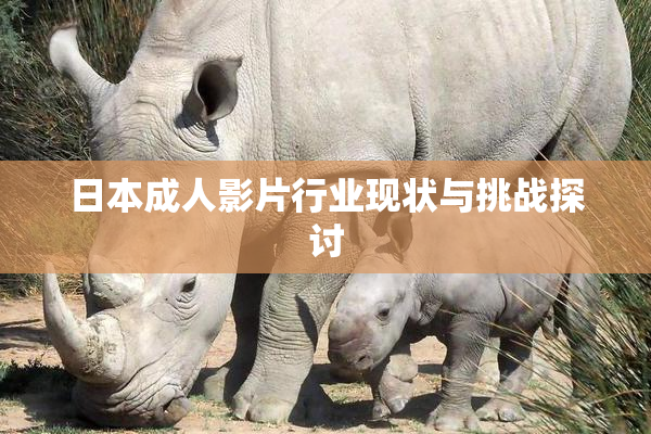 日本成人影片行业现状与挑战探讨