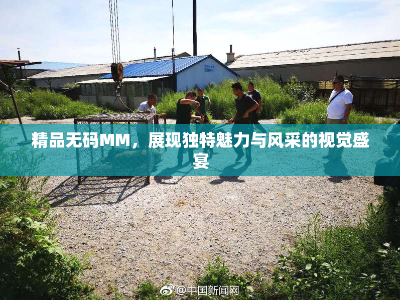 精品无码MM，展现独特魅力与风采的视觉盛宴
