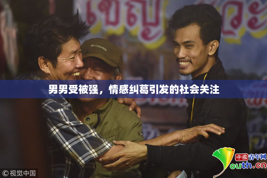 男男受被强，情感纠葛引发的社会关注