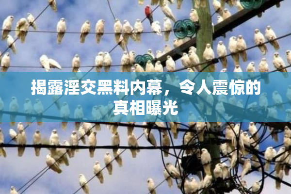 揭露淫交黑料内幕，令人震惊的真相曝光