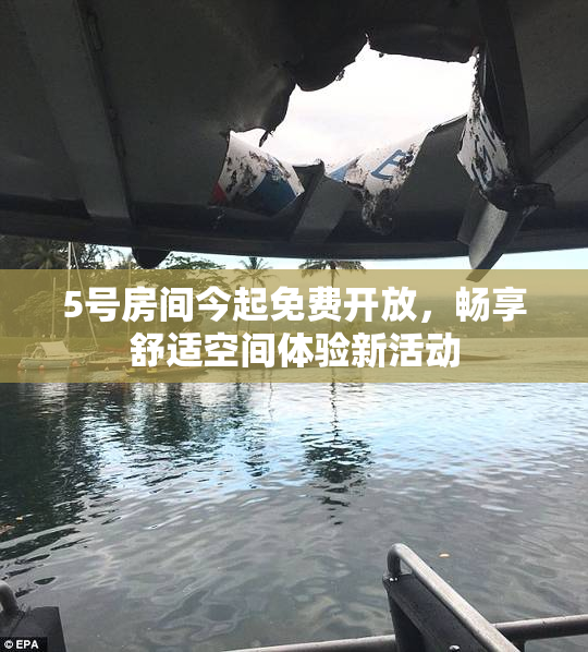 5号房间今起免费开放，畅享舒适空间体验新活动