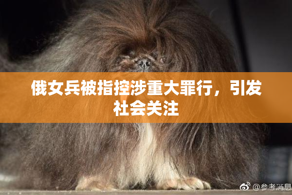 俄女兵被指控涉重大罪行，引发社会关注