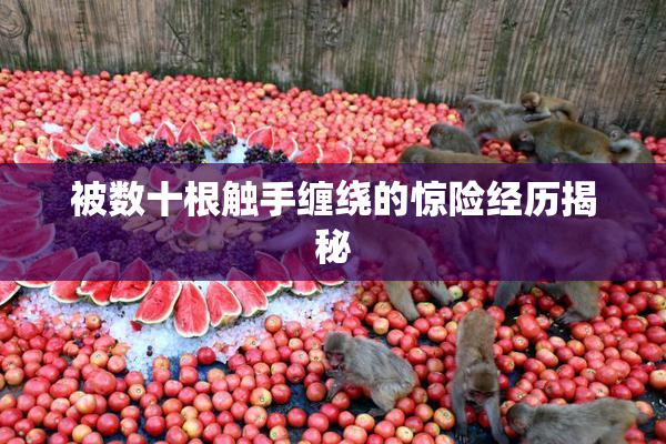 被数十根触手缠绕的惊险经历揭秘