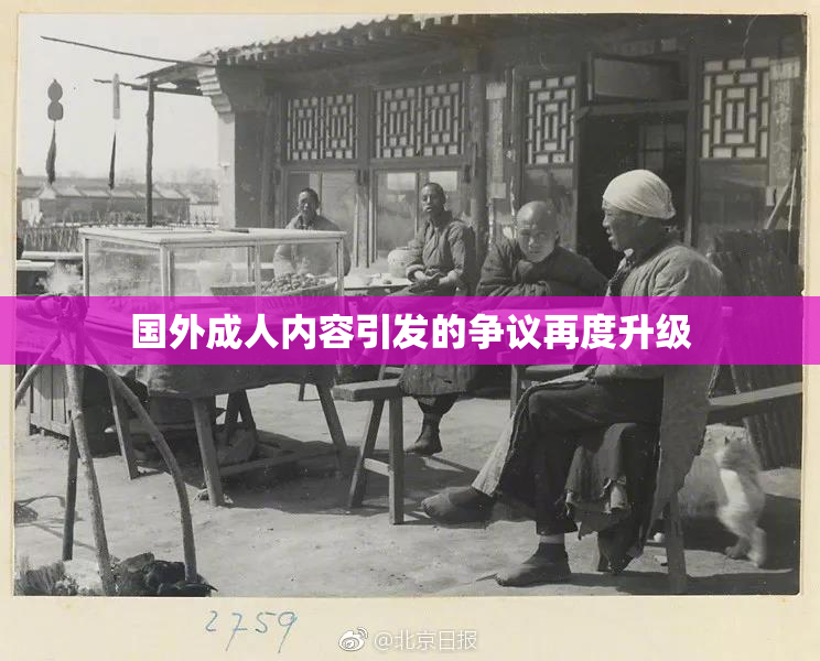 国外成人内容引发的争议再度升级