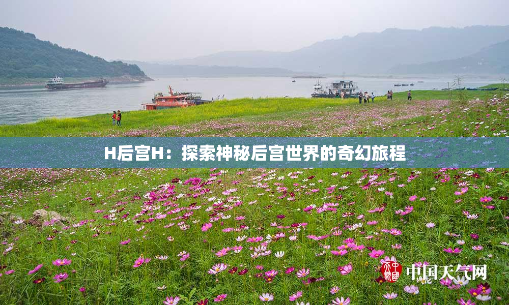 H后宫H：探索神秘后宫世界的奇幻旅程