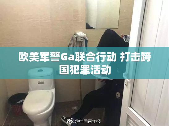 欧美军警Ga联合行动 打击跨国犯罪活动