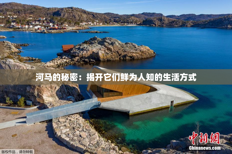 河马的秘密：揭开它们鲜为人知的生活方式