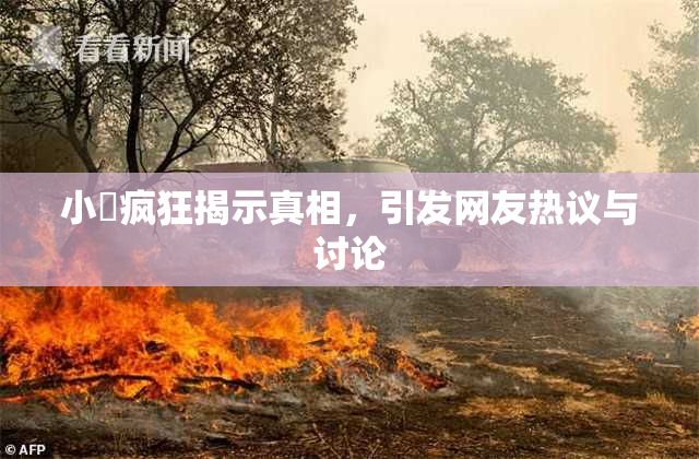 小泬疯狂揭示真相，引发网友热议与讨论