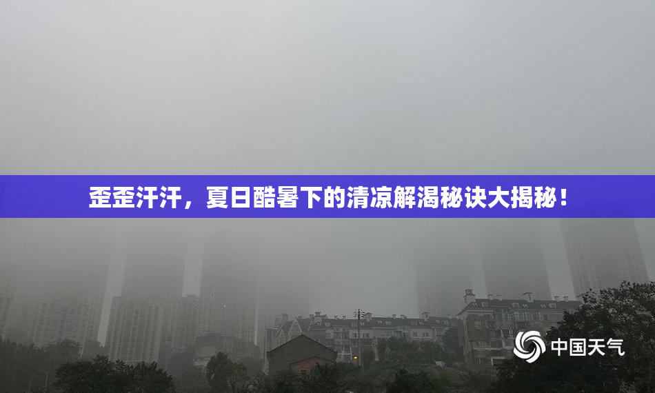歪歪汗汗，夏日酷暑下的清凉解渴秘诀大揭秘！