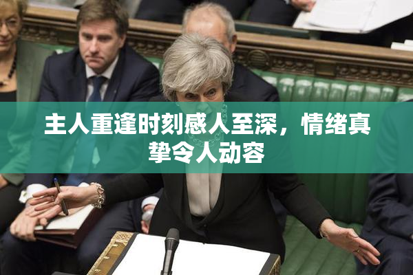 主人重逢时刻感人至深，情绪真挚令人动容