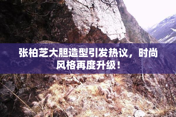 张柏芝大胆造型引发热议，时尚风格再度升级！