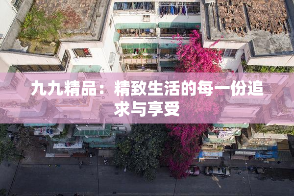 九九精品：精致生活的每一份追求与享受