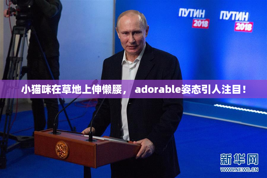 小猫咪在草地上伸懒腰， adorable姿态引人注目！