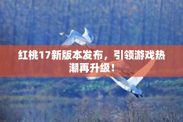红桃17新版本发布，引领游戏热潮再升级！