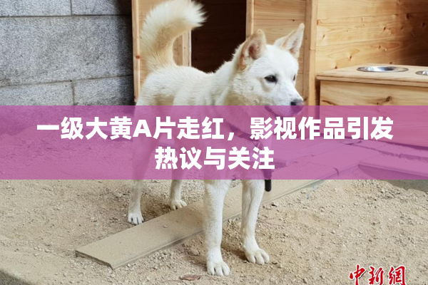 一级大黄A片走红，影视作品引发热议与关注