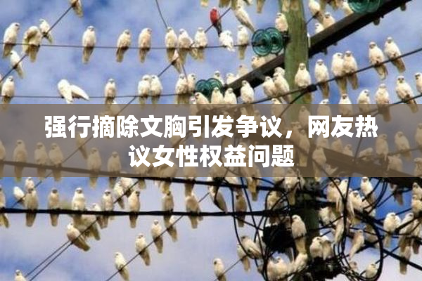 强行摘除文胸引发争议，网友热议女性权益问题
