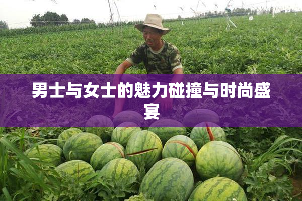 男士与女士的魅力碰撞与时尚盛宴