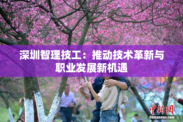 深圳智理技工：推动技术革新与职业发展新机遇