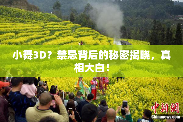 小舞3D？禁忌背后的秘密揭晓，真相大白！