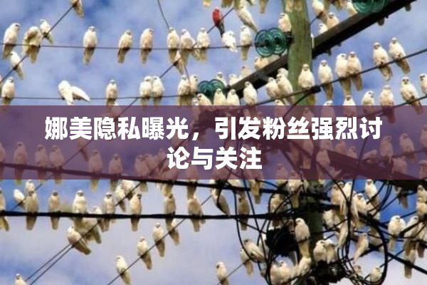 娜美隐私曝光，引发粉丝强烈讨论与关注