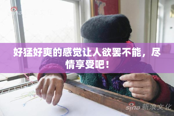 好猛好爽的感觉让人欲罢不能，尽情享受吧！