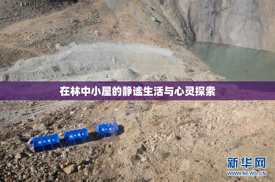在林中小屋的静谧生活与心灵探索
