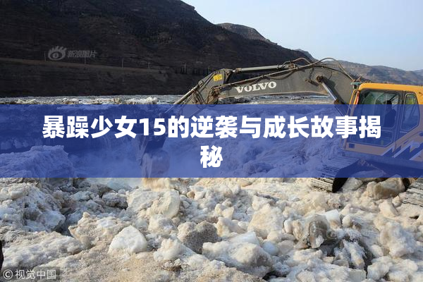暴躁少女15的逆袭与成长故事揭秘