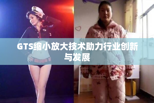 GTS缩小放大技术助力行业创新与发展