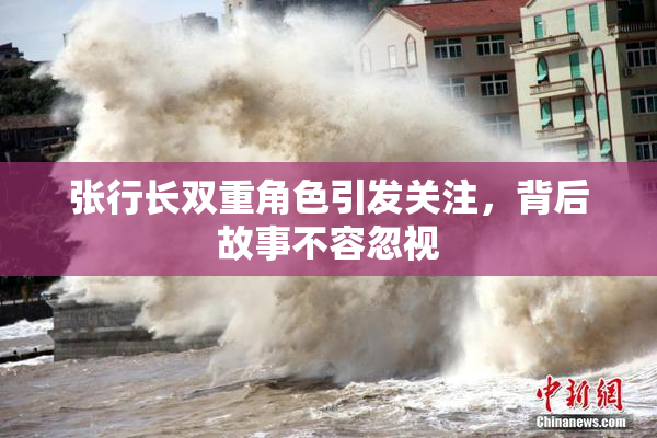 张行长双重角色引发关注，背后故事不容忽视