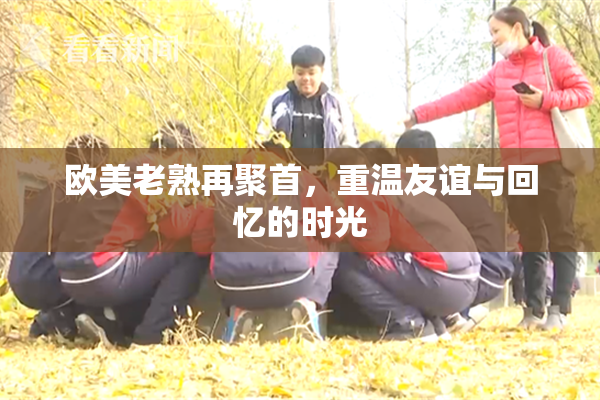 欧美老熟再聚首，重温友谊与回忆的时光