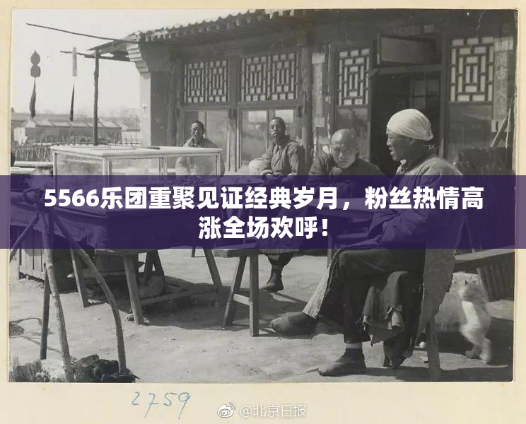 5566乐团重聚见证经典岁月，粉丝热情高涨全场欢呼！