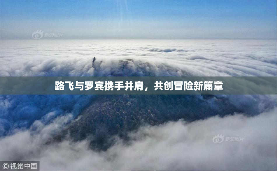 路飞与罗宾携手并肩，共创冒险新篇章