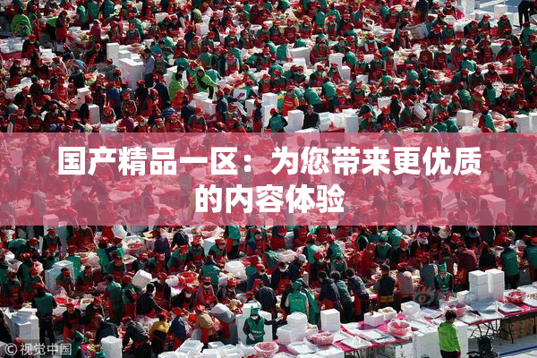 国产精品一区：为您带来更优质的内容体验