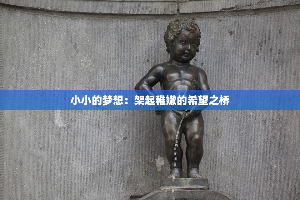小小的梦想：架起稚嫩的希望之桥