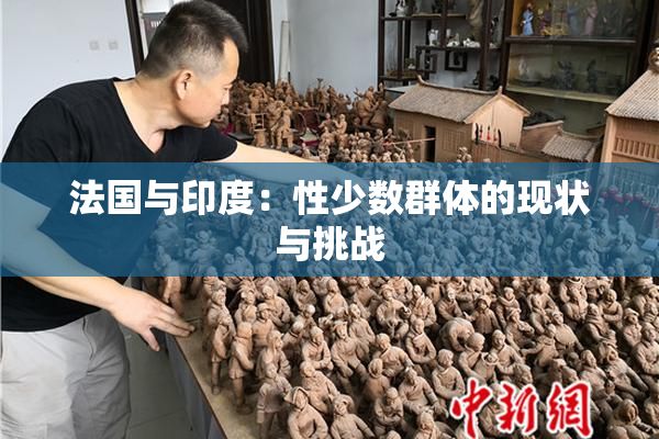 法国与印度：性少数群体的现状与挑战