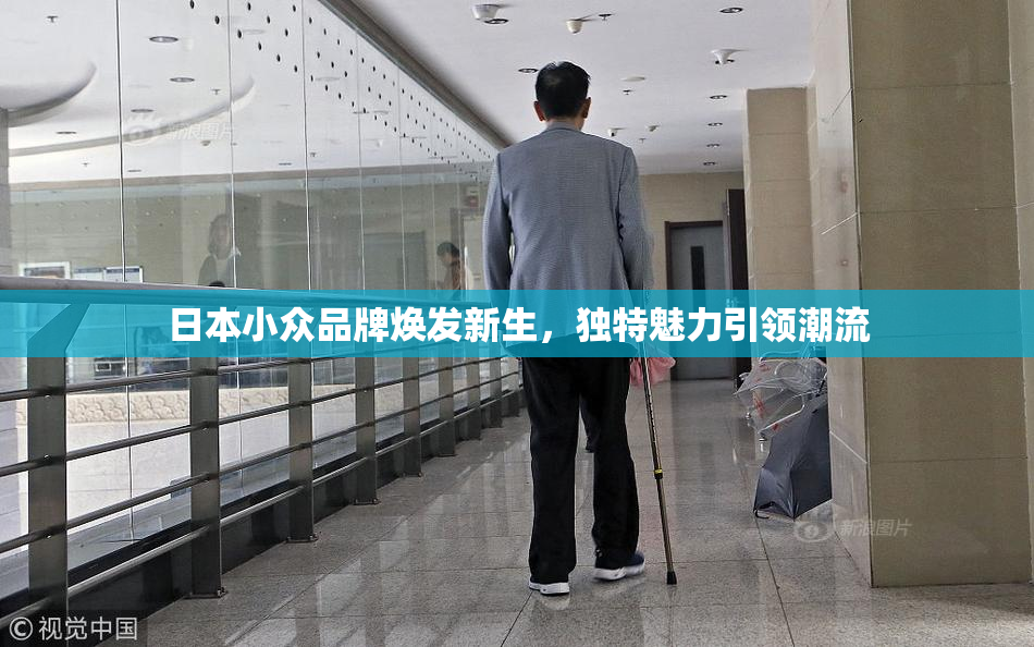 日本小众品牌焕发新生，独特魅力引领潮流