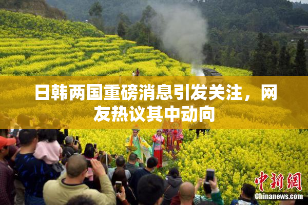 日韩两国重磅消息引发关注，网友热议其中动向