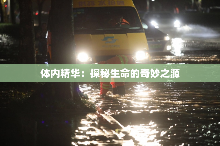 体内精华：探秘生命的奇妙之源
