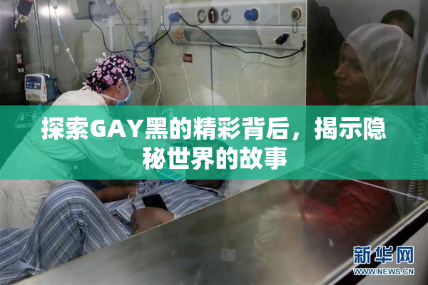 探索GAY黑的精彩背后，揭示隐秘世界的故事