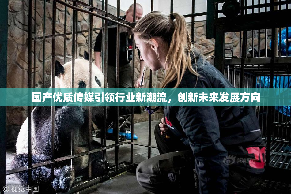 国产优质传媒引领行业新潮流，创新未来发展方向